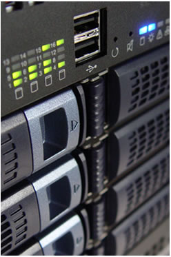 Shared Server Hosting
